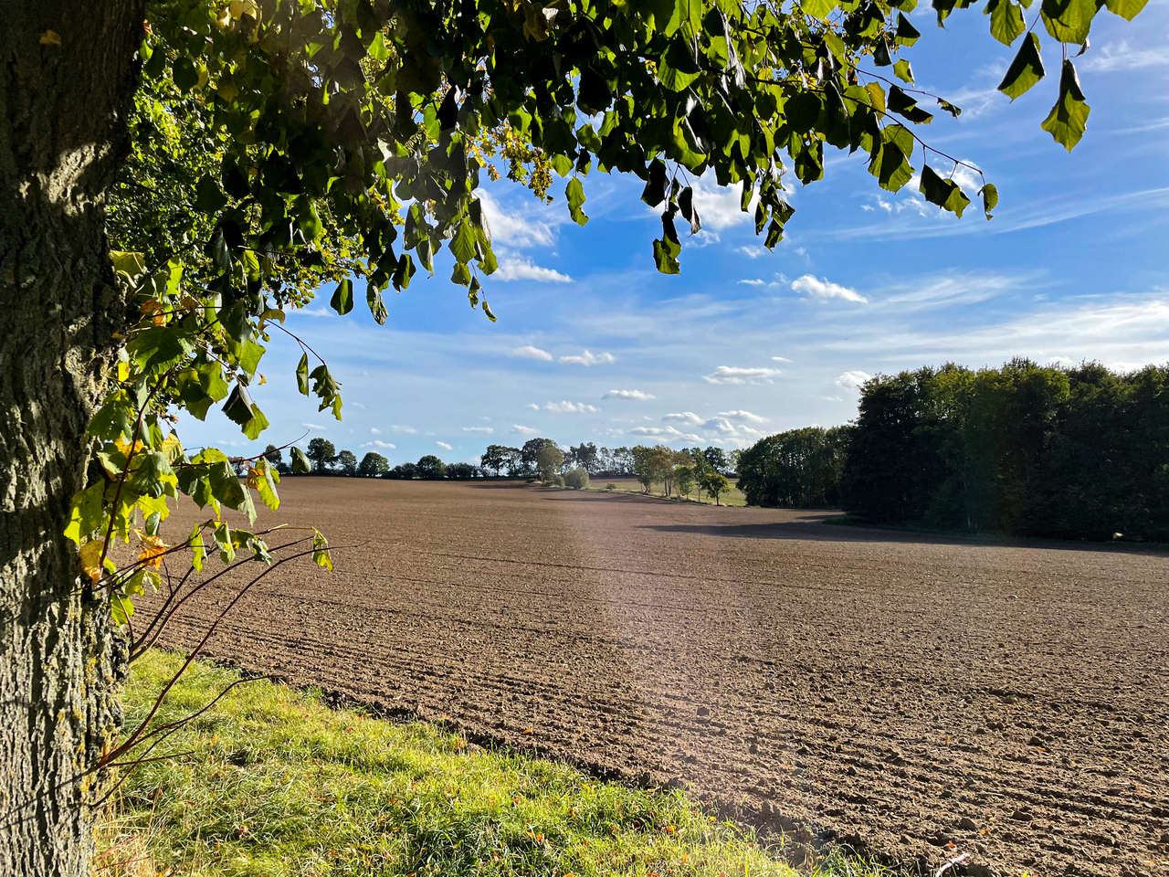 Patrick Moll - Zukunft fr unsere Heimat